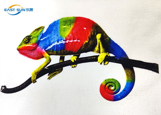 Bom preço filme imprimível do ANIMAL DE ESTIMAÇÃO da transferência térmica A3 de 600mm para a impressão do Inkjet de DTF on-line