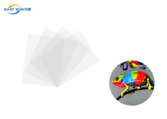 Bom preço Cor branca do filme convencional da transferência térmica da largura 60cm 33cm 30cm DTF on-line